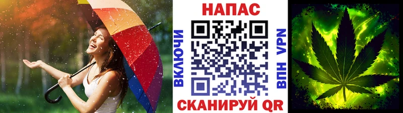 купить   Колпашево  Марихуана планчик 